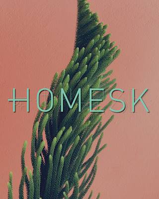Homesk (8)